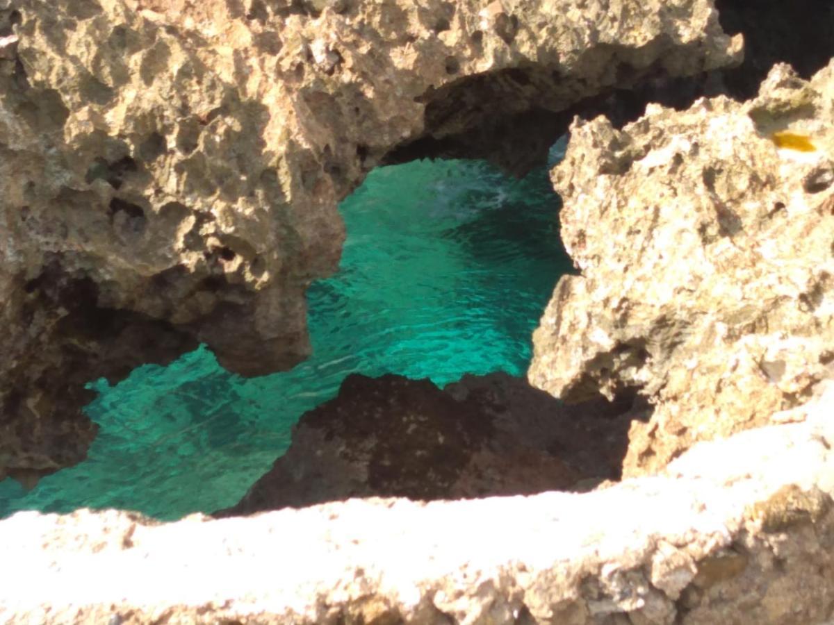ホテル La Cueva Del Che フアン・ドリオ エクステリア 写真